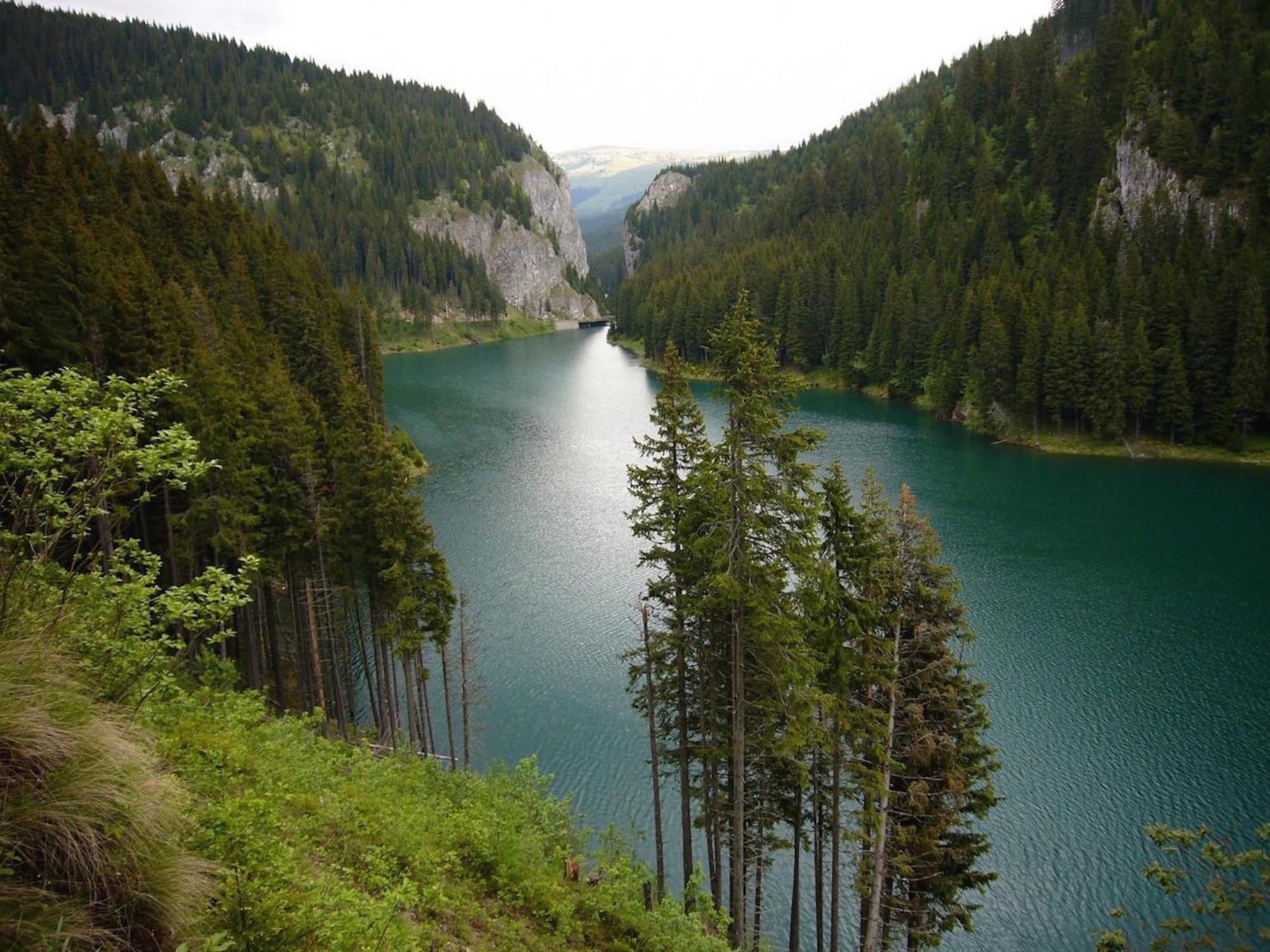 Boutique Hotel Forest Retreat (Adults Only) Буштени Номер фото